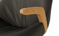 Wohnwert Armlehnstuhl Novum | Braun mit Elastic-Aktiv-Federung (gesundes Sitzen) -Stühle Verkäufe 2023 15304631 3 202112221257