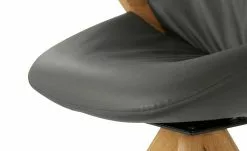 Wohnwert Armlehnstuhl Novum | Grau mit Elastic-Aktiv-Federung (gesundes Sitzen) 17 Wohnwert Armlehnstuhl Novum | Grau mit Elastic-Aktiv-Federung (gesundes Sitzen) -Stühle Verkäufe 2023 15304632 7 202112221257