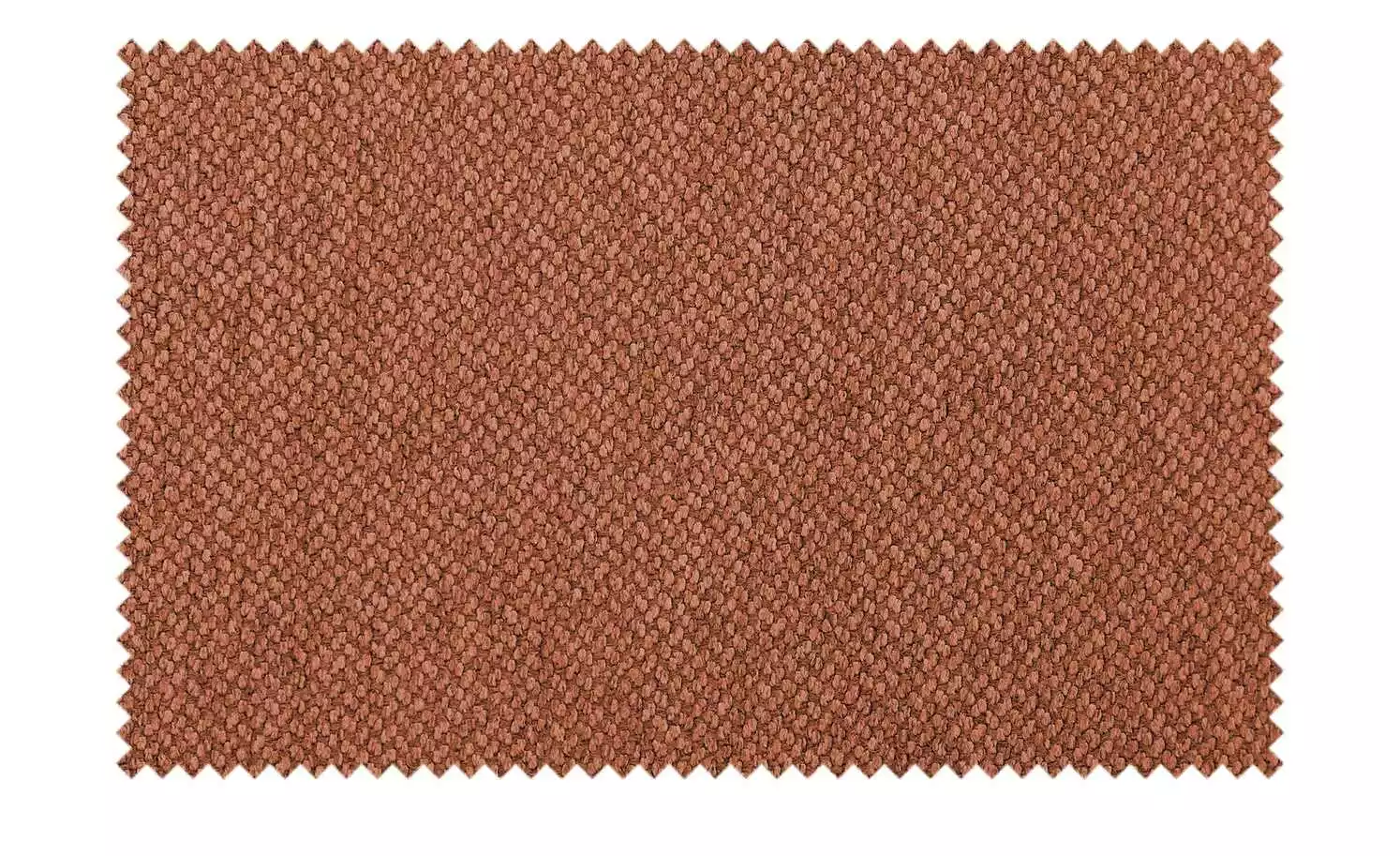 Connubia Polsterstuhl Sibilla soft | Safran (Cognac) 4 Connubia Polsterstuhl Sibilla soft | Safran (Cognac) – Bild 2