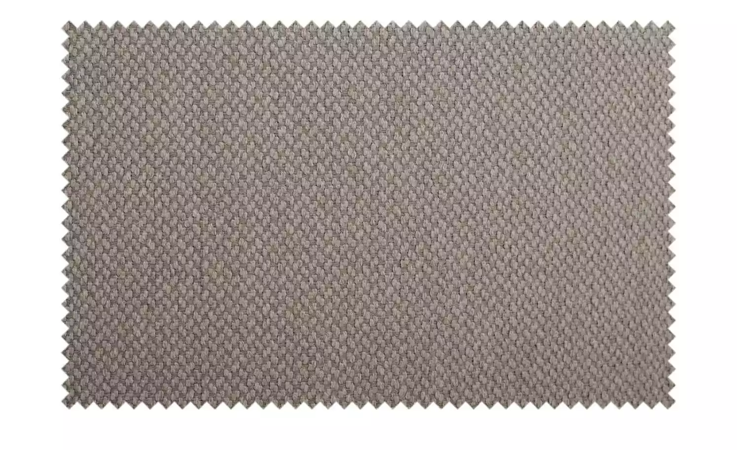 Connubia Polsterstuhl Tuka | Taupe 5 Connubia Polsterstuhl Tuka | Taupe – Bild 3