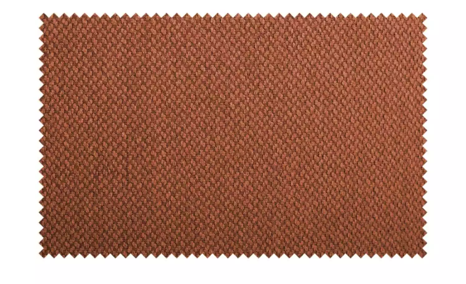 Connubia Polsterstuhl Tuka | Safran (Cognac) 11 Connubia Polsterstuhl Tuka | Safran (Cognac) – Bild 9