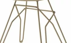 Connubia Schalenstuhl Academy | Haselnussbraun -Stühle Verkäufe 2023 15304720 1 202112091236