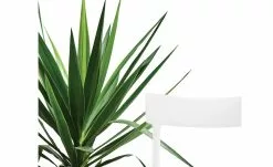 Connubia Stuhl stapelbar Argo | Schneeweiß -Stühle Verkäufe 2023 15304862 4 202111121257