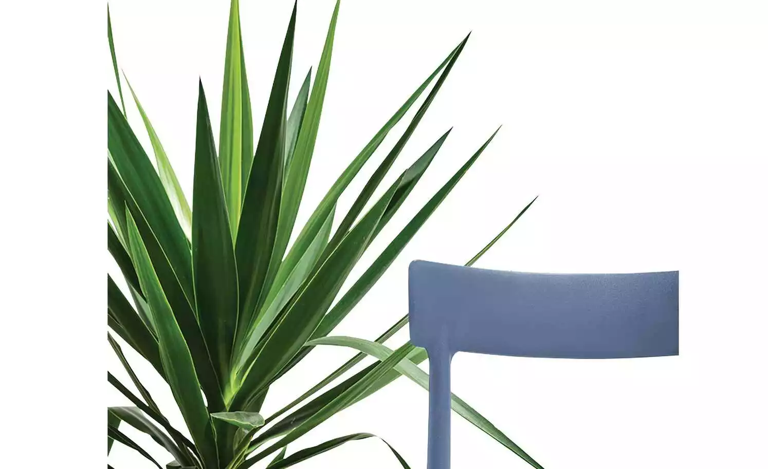 Connubia Stuhl stapelbar Argo | Sky Blue (Blau) 5 Connubia Stuhl stapelbar Argo | Sky Blue (Blau) – Bild 3