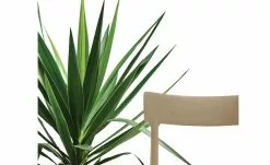 Connubia Stuhl stapelbar Argo | Haselnussbraun (Hellbraun) -Stühle Verkäufe 2023 15304864 4 202111121257