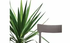 Connubia Stuhl stapelbar Argo | Taubengrau -Stühle Verkäufe 2023 15304865 2 202111121257