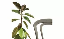 Connubia Stuhl stapelbar Caffe | Taubengrau 12 Connubia Stuhl stapelbar Caffe | Taubengrau -Stühle Verkäufe 2023 15304872 2 202111152233