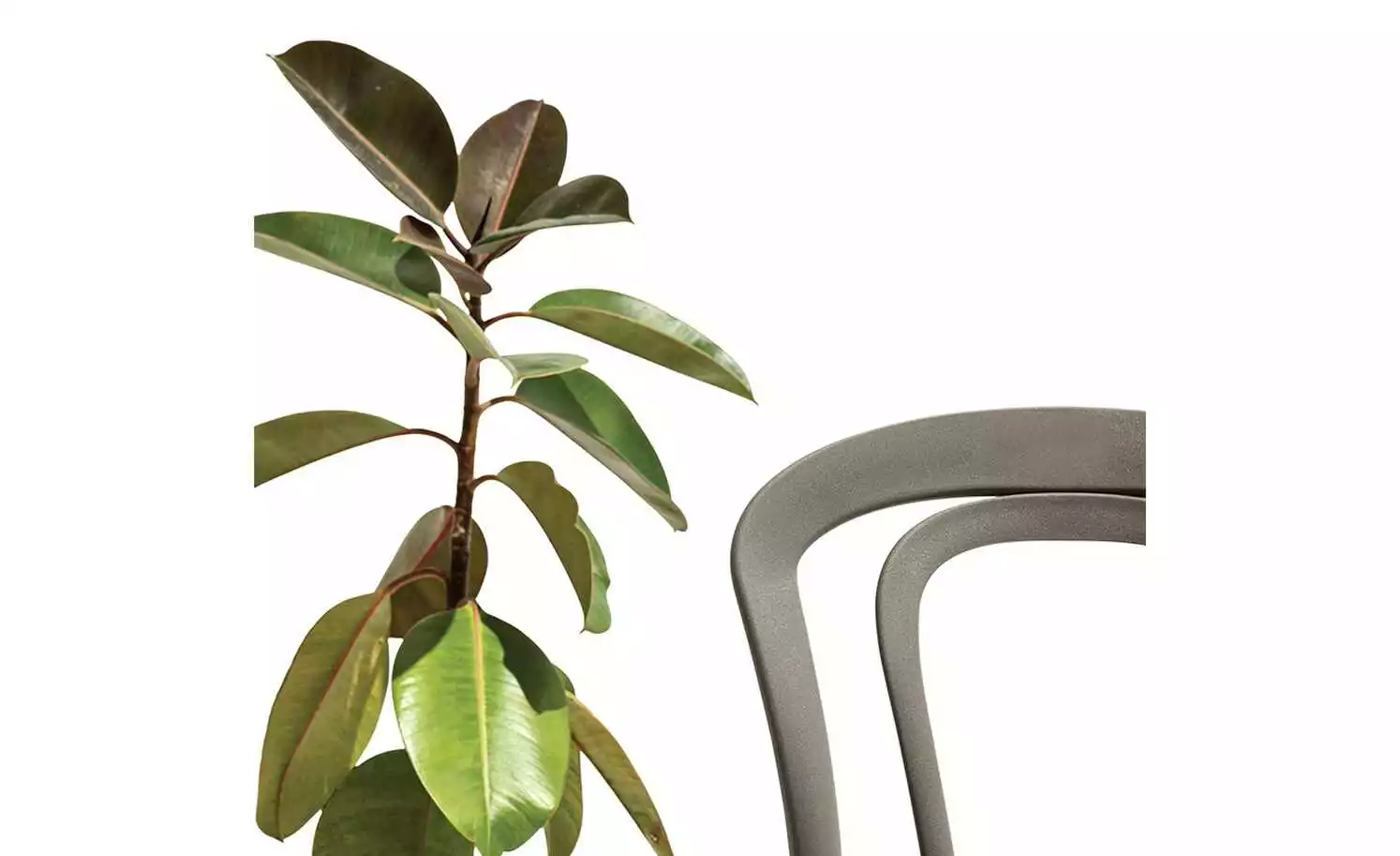 Connubia Stuhl stapelbar Caffe | Taubengrau 6 Connubia Stuhl stapelbar Caffe | Taubengrau – Bild 4