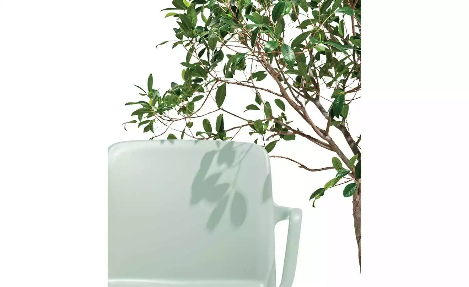 Connubia Stuhl stapelbar Bayo | Thymian (Hellgrün) Ja 6 Connubia Stuhl stapelbar Bayo | Thymian (Hellgrün) Ja – Bild 4