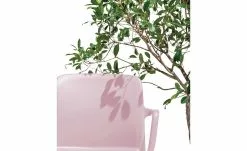 Connubia Stuhl stapelbar Bayo | Altrosa Ja -Stühle Verkäufe 2023 15304887 4 202111152233