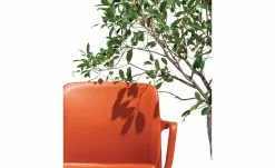 Connubia Stuhl stapelbar Bayo | Safran (Orange) Ja -Stühle Verkäufe 2023 15304888 3 202111152233