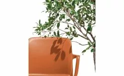 Connubia Stuhl stapelbar Bayo | Safran (Orange) Ja -Stühle Verkäufe 2023 15304888 4 202111152233