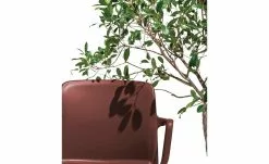 Connubia Stuhl stapelbar Bayo | Rot Oxid (Bordeaux) Ja -Stühle Verkäufe 2023 15304889 4 202111152233