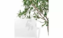 Connubia Stuhl stapelbar Bayo | Schneeweiß Ja -Stühle Verkäufe 2023 15304891 1 202111152233