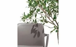 Connubia Stuhl stapelbar Bayo | Taubengrau Ja -Stühle Verkäufe 2023 15304892 5 202111152233