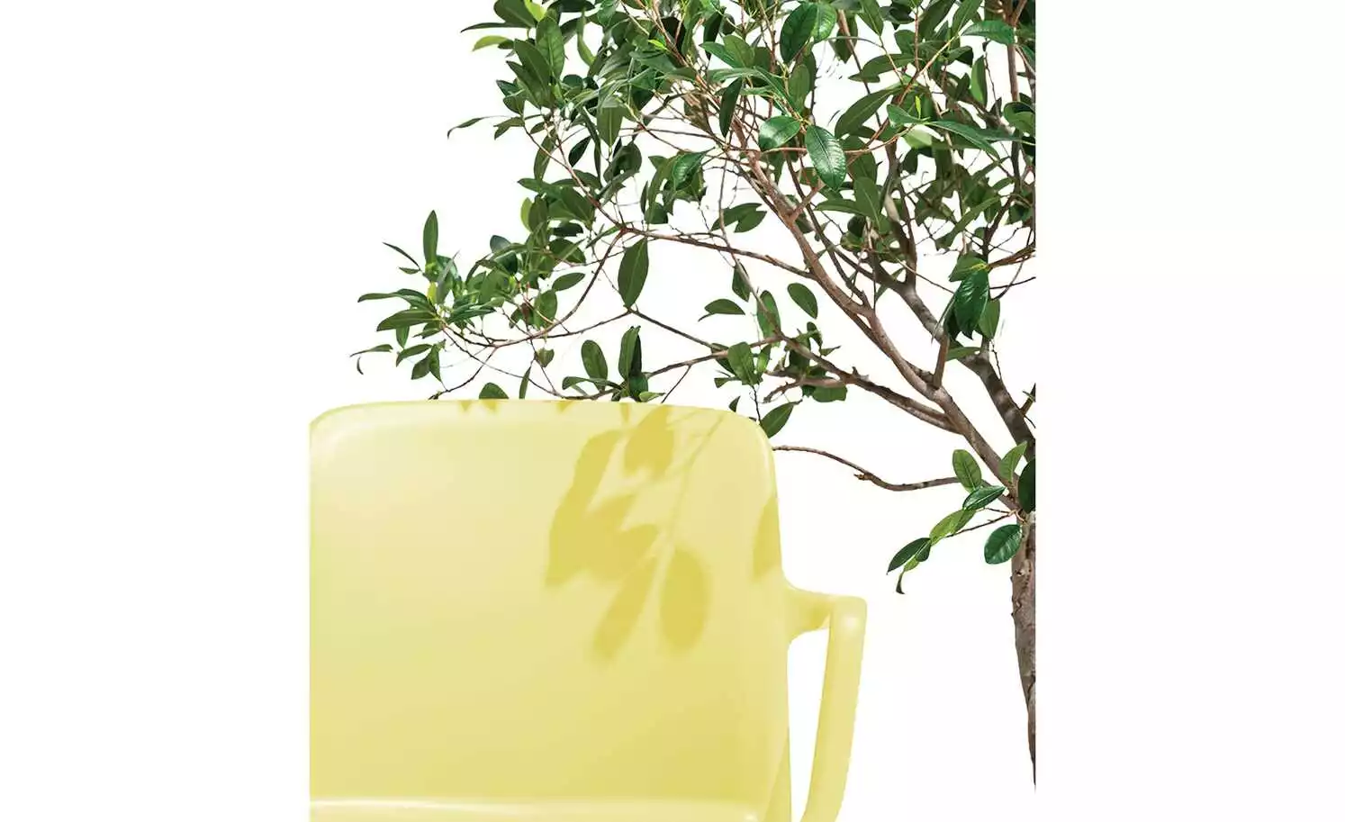 Connubia Stuhl stapelbar Bayo | Zitronengelb Ja 6 Connubia Stuhl stapelbar Bayo | Zitronengelb Ja – Bild 4