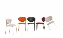 Connubia Polsterstuhl Cozy | Bordeaux / Rot Oxid (Bordeaux)