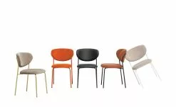 Connubia Polsterstuhl Cozy | Safran (Orange) / Schwarz