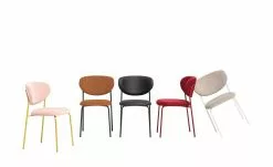 Connubia Polsterstuhl Cozy | Safran (Orange) / Schwarz