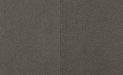 Wohnwert Polsterstuhl Botho | Nuss (Braun) Federkern -Stühle Verkäufe 2023 15305864 3 202209212234