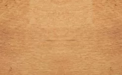 Dine + Mine Polsterstuhl Xalapa | Cappuccino (Braun) Akaziefarbig Nein -Stühle Verkäufe 2023 15307029 3 202205251237