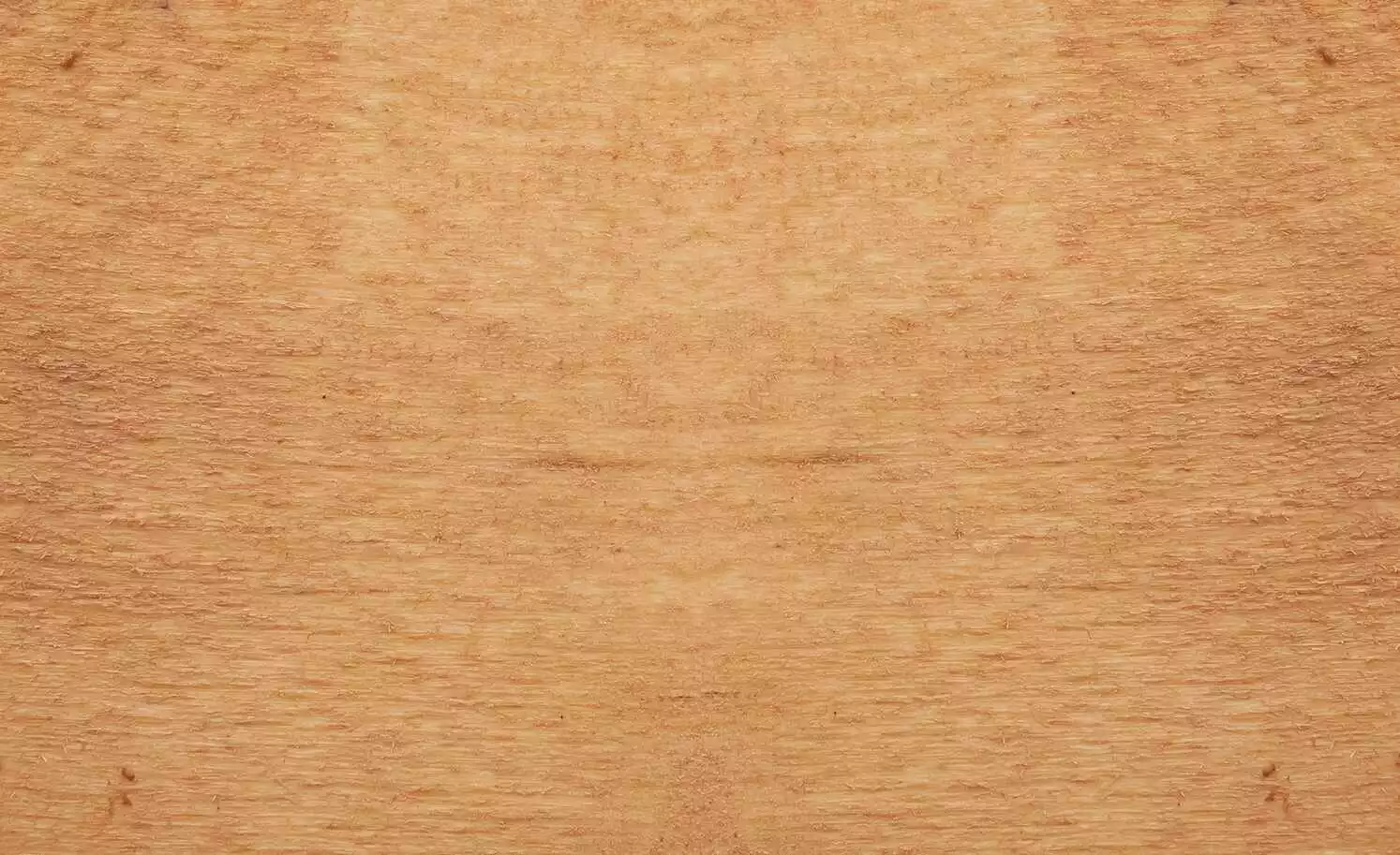 Dine + Mine Polsterstuhl Xalapa | Anthrazit Akaziefarbig Ja 7 Dine + Mine Polsterstuhl Xalapa | Anthrazit Akaziefarbig Ja – Bild 5