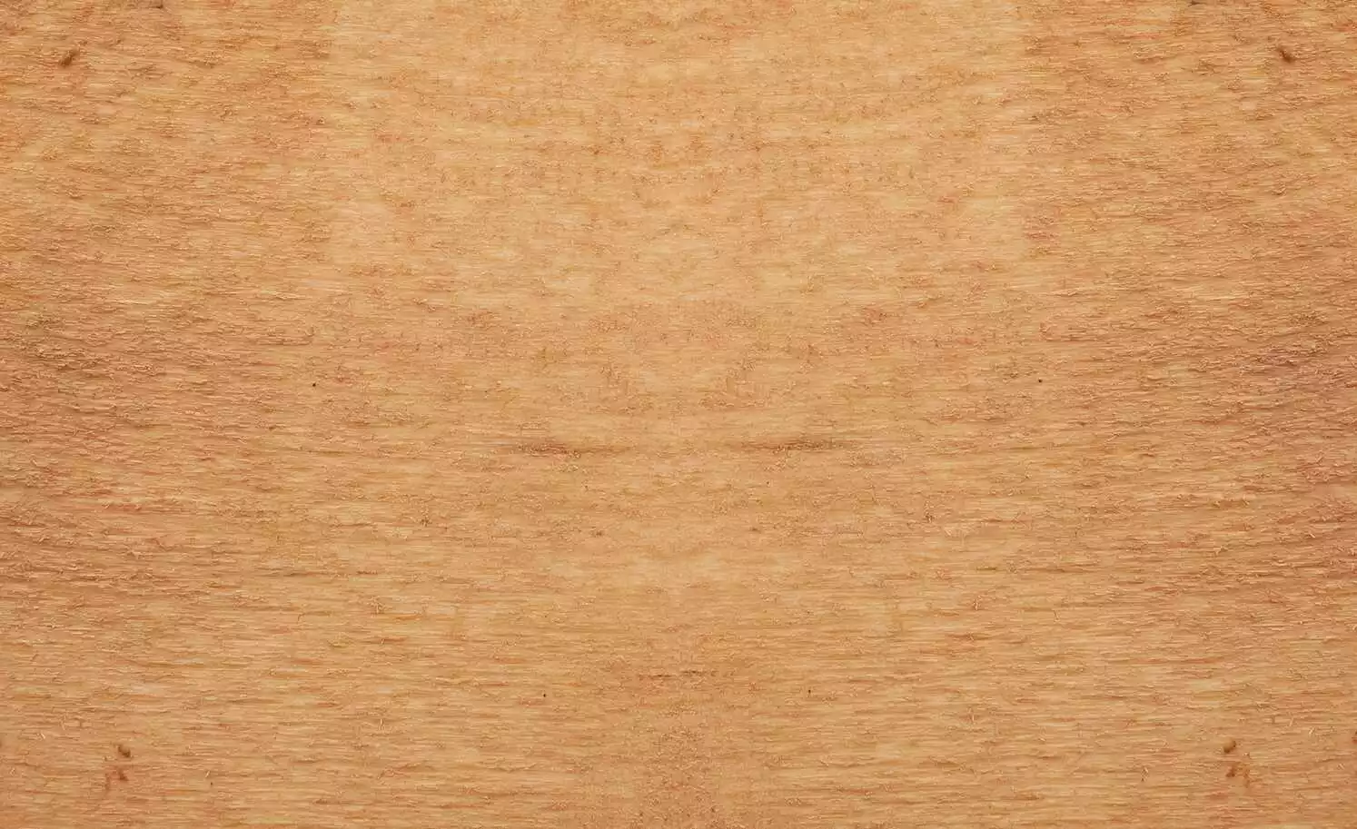 Dine + Mine Polsterstuhl Corby | Anthrazit Akaziefarbig Nein 10 Dine + Mine Polsterstuhl Corby | Anthrazit Akaziefarbig Nein – Bild 8