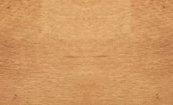 Dine + Mine Polsterstuhl Corby | Cappuccino (Braun) Akaziefarbig Nein -Stühle Verkäufe 2023 15307079 4 202206162233