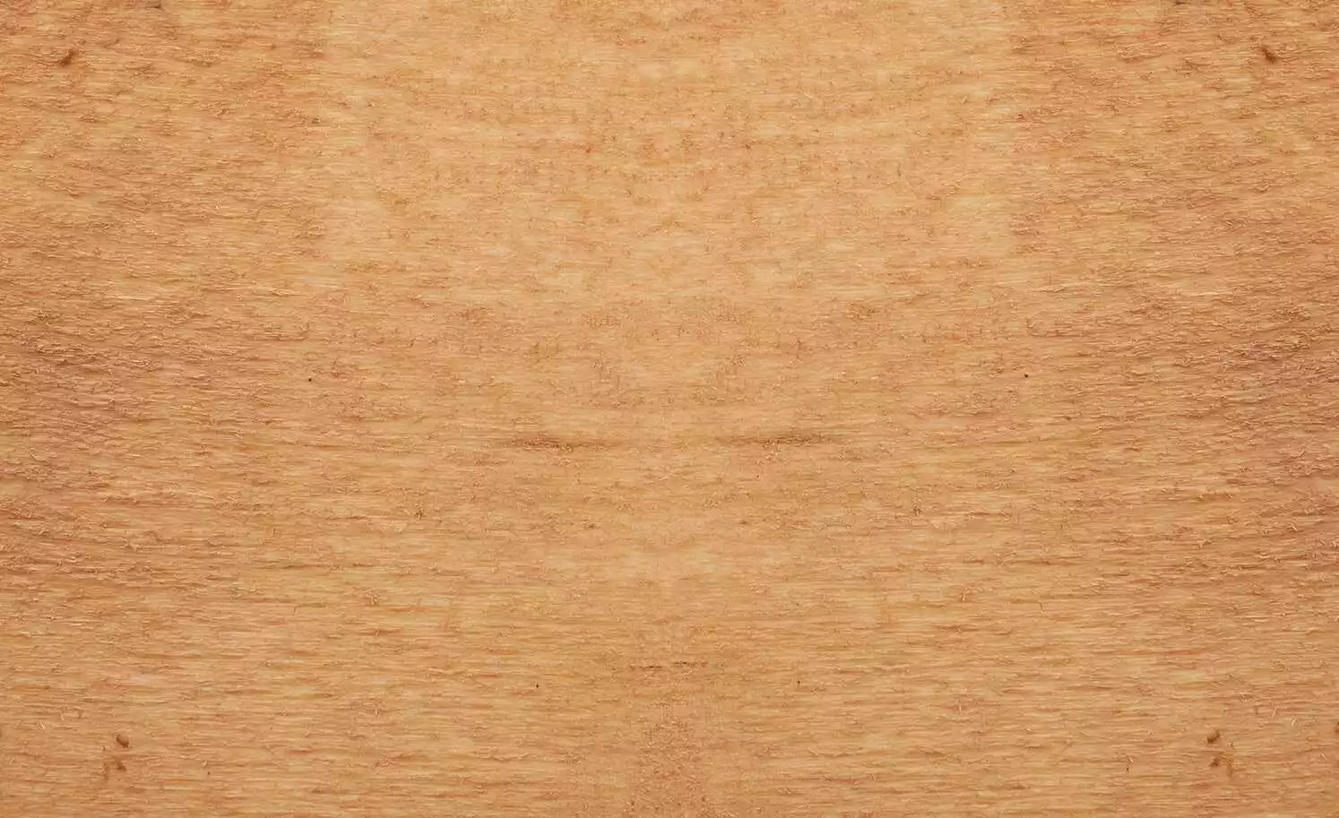 Dine + Mine Polsterstuhl Nador | Anthrazit Akazie (Nachbildung) Nein 8 Dine + Mine Polsterstuhl Nador | Anthrazit Akazie (Nachbildung) Nein – Bild 6