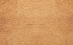 Dine + Mine Polsterstuhl Nador | Cappuccino (Braun) Akazie (Nachbildung) Ja 15 Dine + Mine Polsterstuhl Nador | Cappuccino (Braun) Akazie (Nachbildung) Ja -Stühle Verkäufe 2023 15307116 1 202207081237