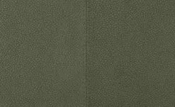 Wohnwert Polsterstuhl Botho | Moos (Grün) Schaumstoff -Stühle Verkäufe 2023 15307448 6 202209212234