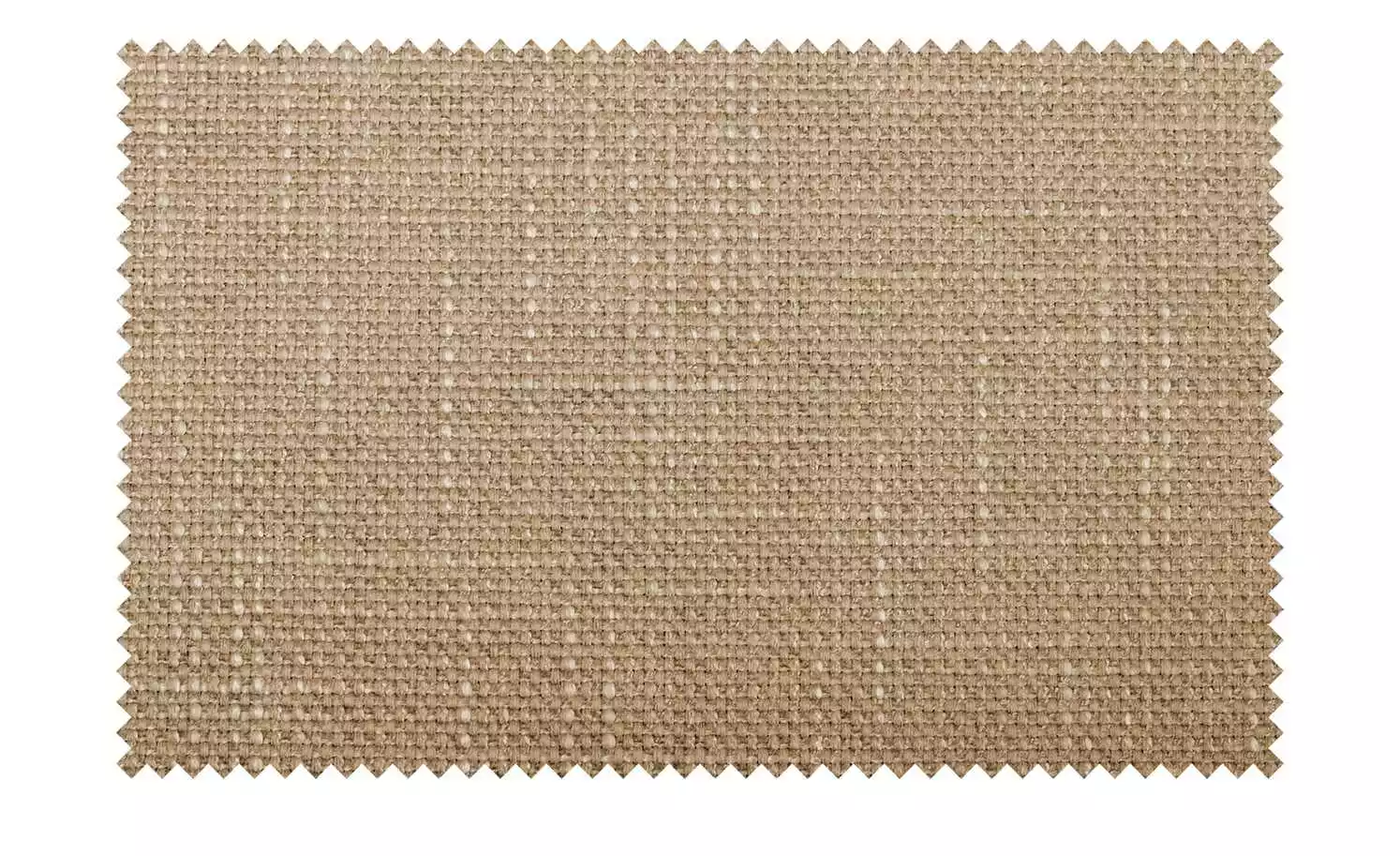 Polsterstuhl 4ever | Sand (Beige) Buche natur Nein Schaumstoff 4 Polsterstuhl 4ever | Sand (Beige) Buche natur Nein Schaumstoff – Bild 2