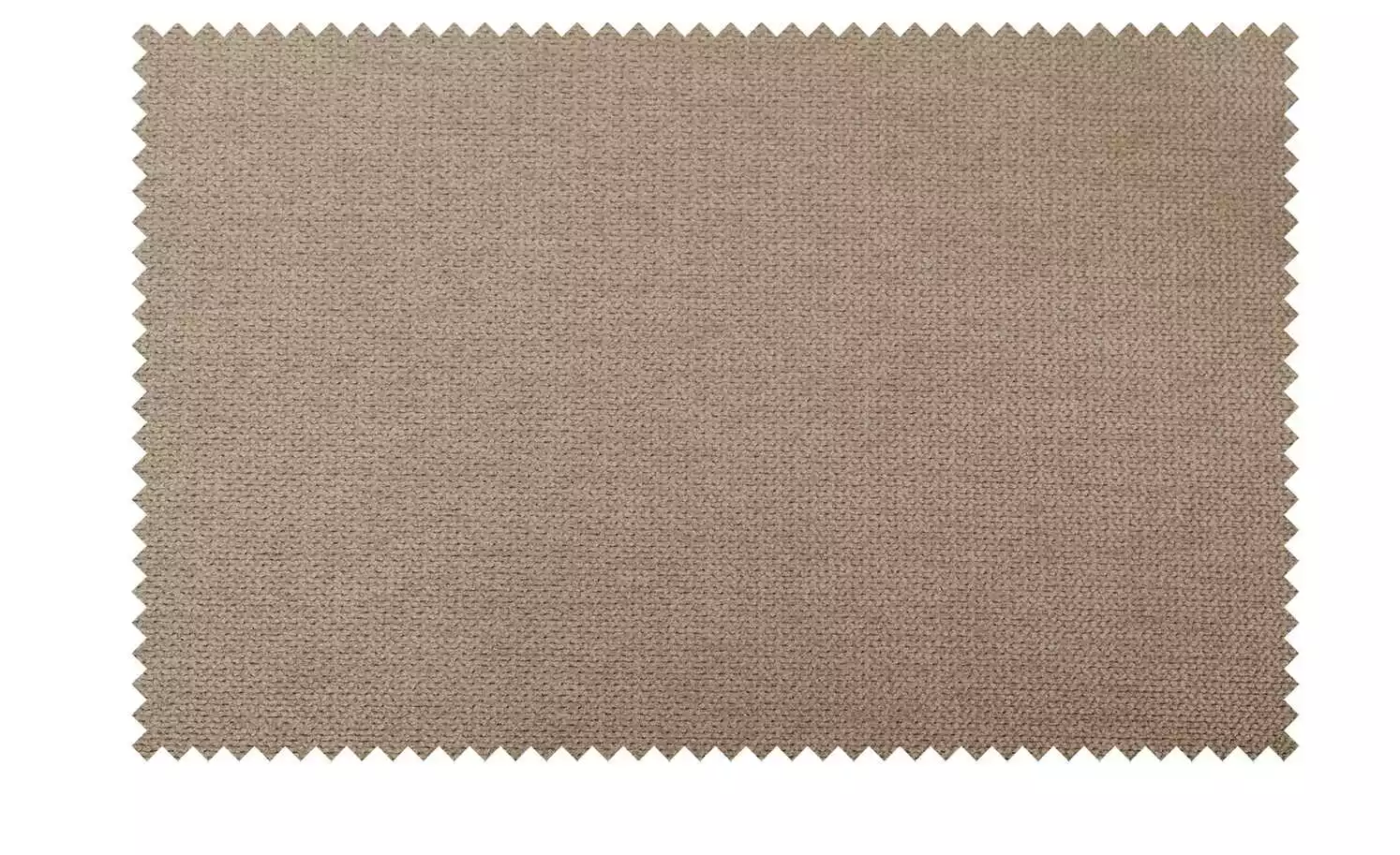 Polsterstuhl 4ever | Taupe Ja Schaumstoff 4 Polsterstuhl 4ever | Taupe Ja Schaumstoff – Bild 2