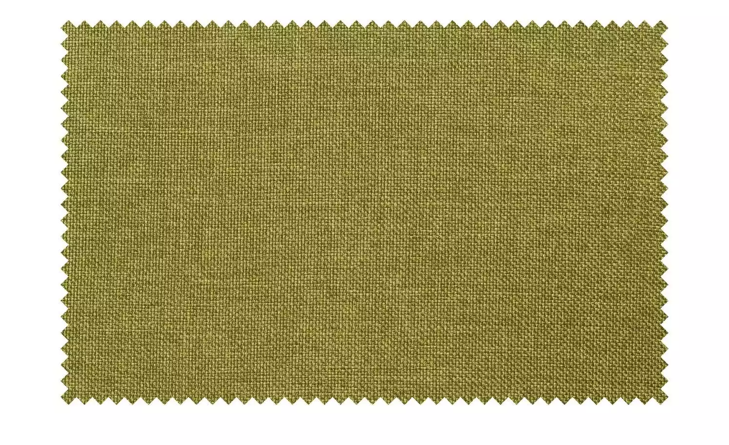 Woodford Polsterstuhl Anni | Lemon (Grün) 5 Woodford Polsterstuhl Anni | Lemon (Grün) – Bild 3