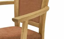 Polsterstuhl Multistar | Rost (Cognac) Ja -Stühle Verkäufe 2023 15307643 5 202207112232