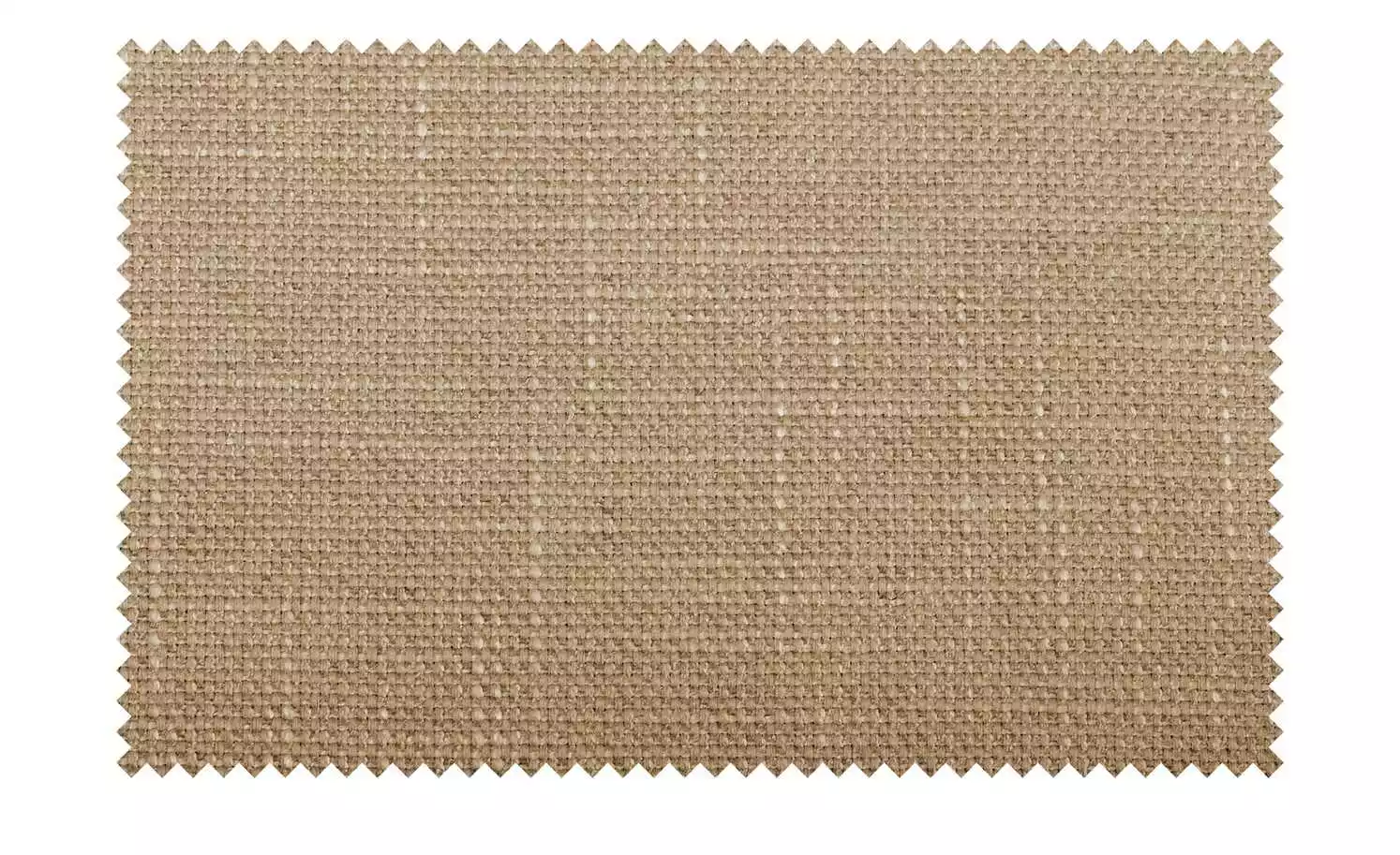 Polsterstuhl 4ever | Sand (Beige) Ja Gurtfederung 4 Polsterstuhl 4ever | Sand (Beige) Ja Gurtfederung – Bild 2